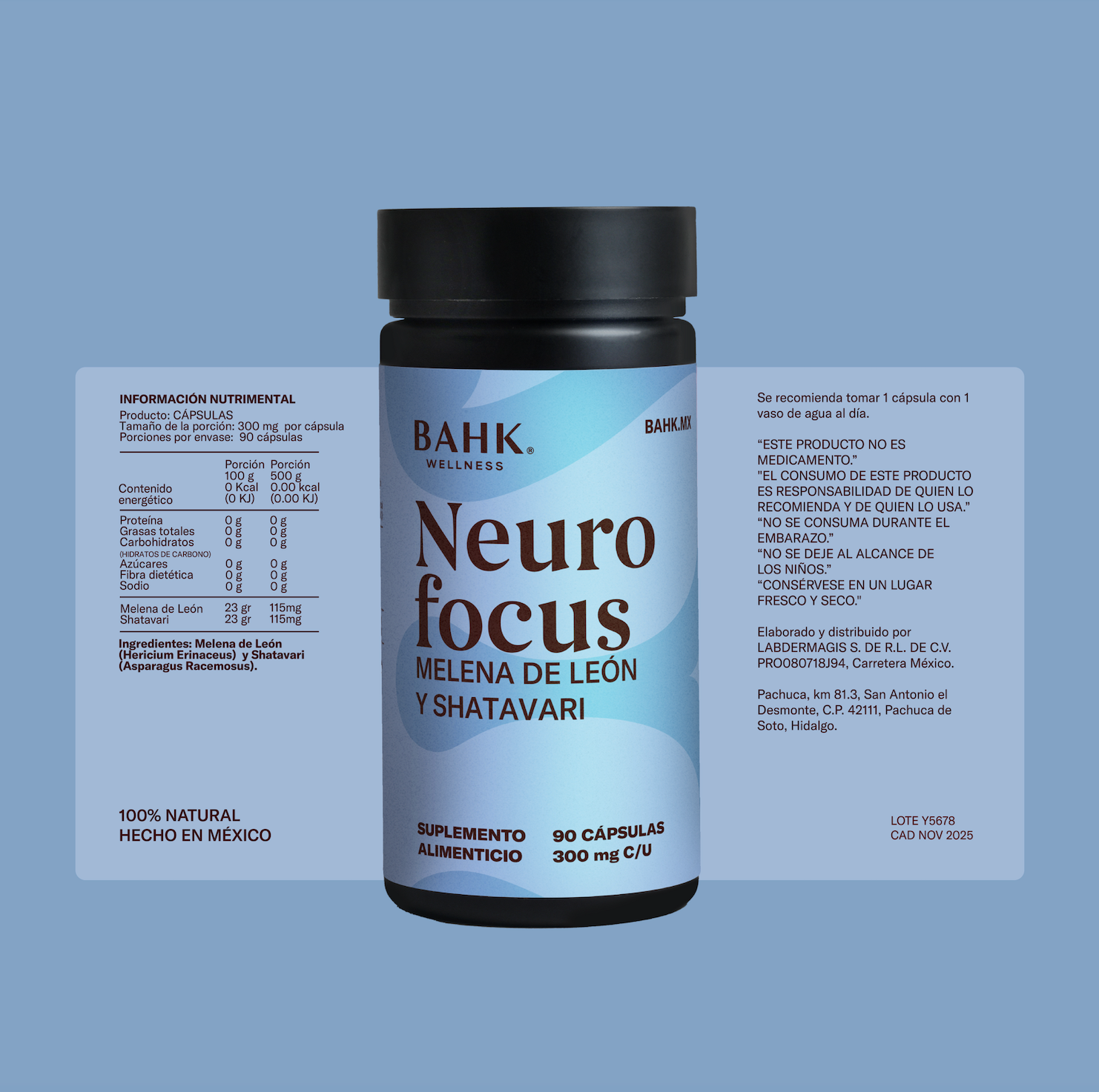 Neuro Focus | Melena de león y shatavari (300mg c/u)
